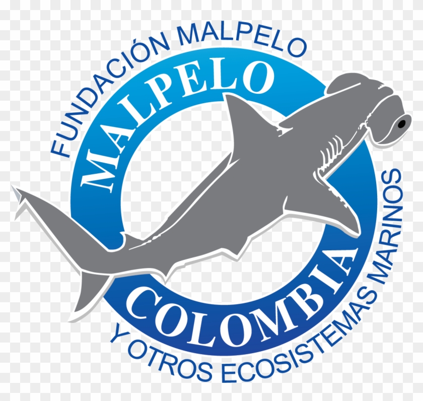 Inventario De Invertebrados Marinos Del Sff Isla Malpelo, - Inventario De Invertebrados Marinos Del Sff Isla Malpelo, #501143