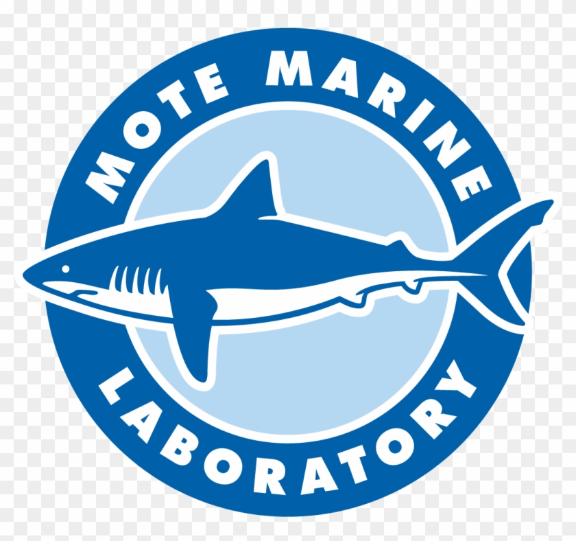 Mote Marine Laboratory & Aquarium - Concrete Structures Of The Midwest #501192