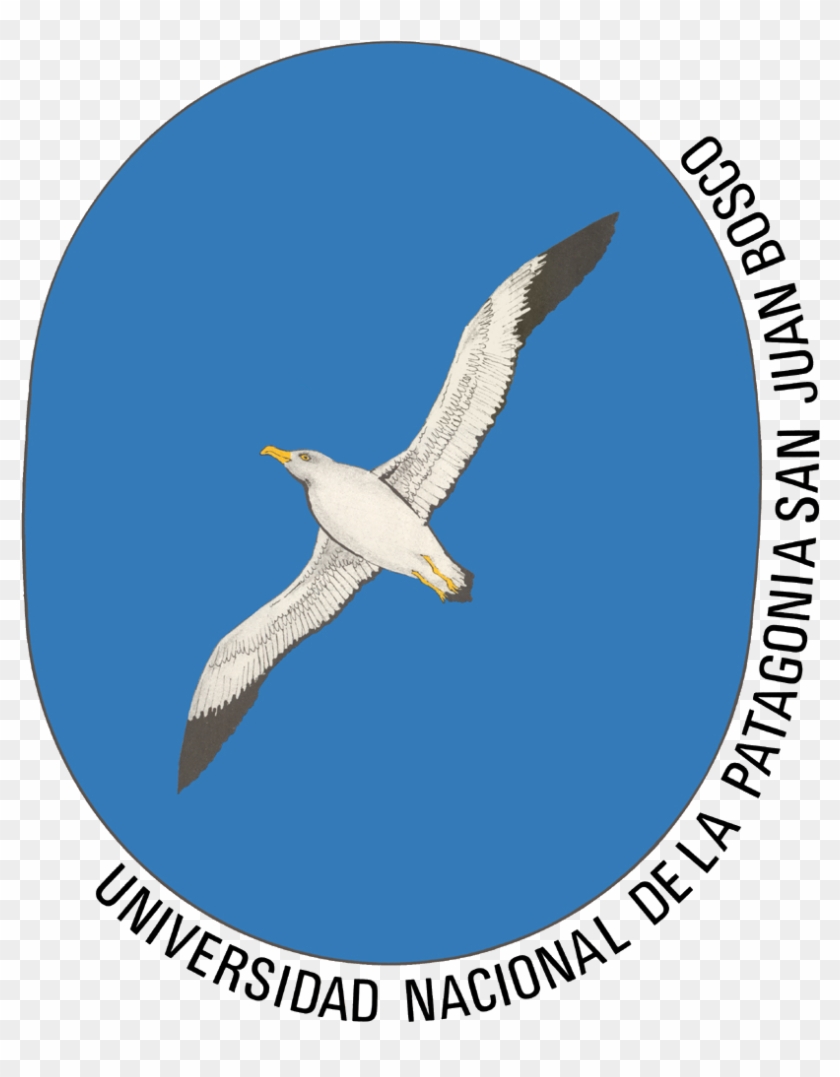 National University Of Patagonia San Juan Bosco #501201