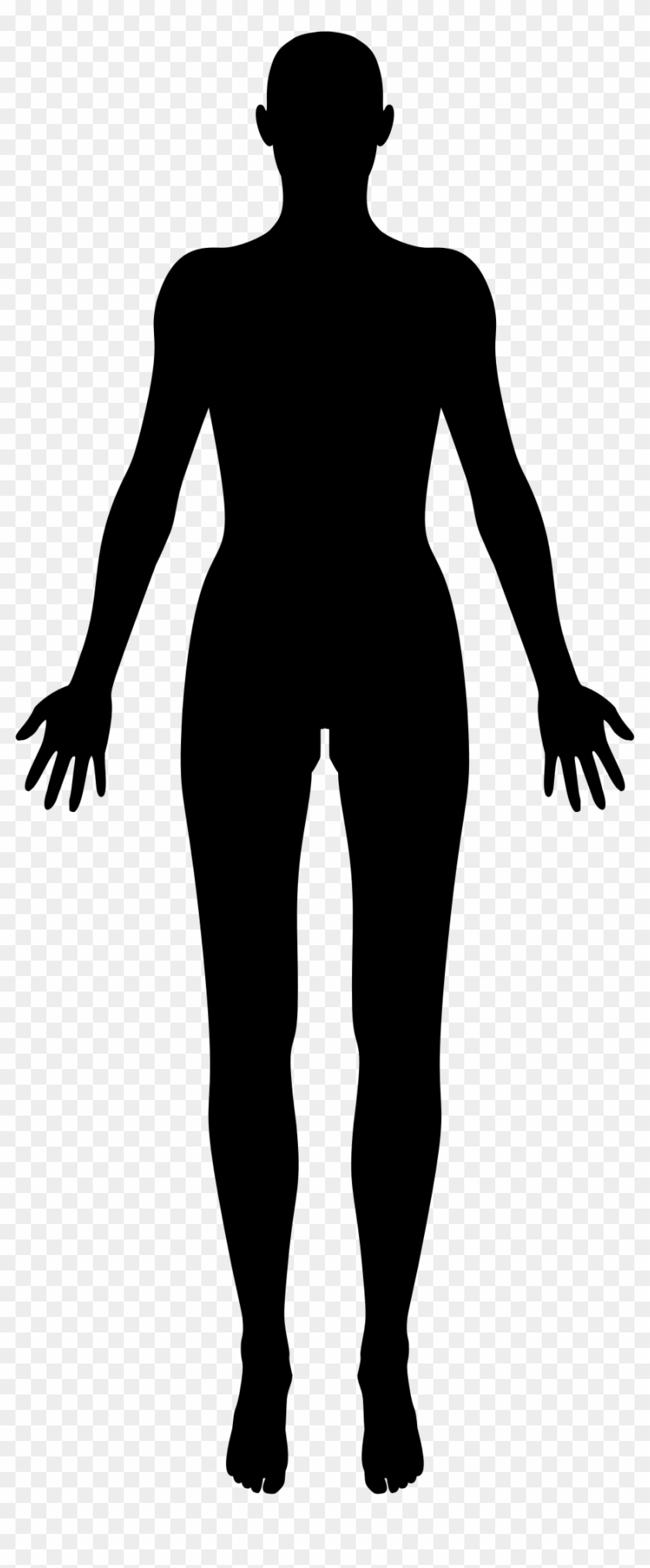 Clipart Female Body Part Of Slim Outline Royalty Free - Female Body Silhouette #86173