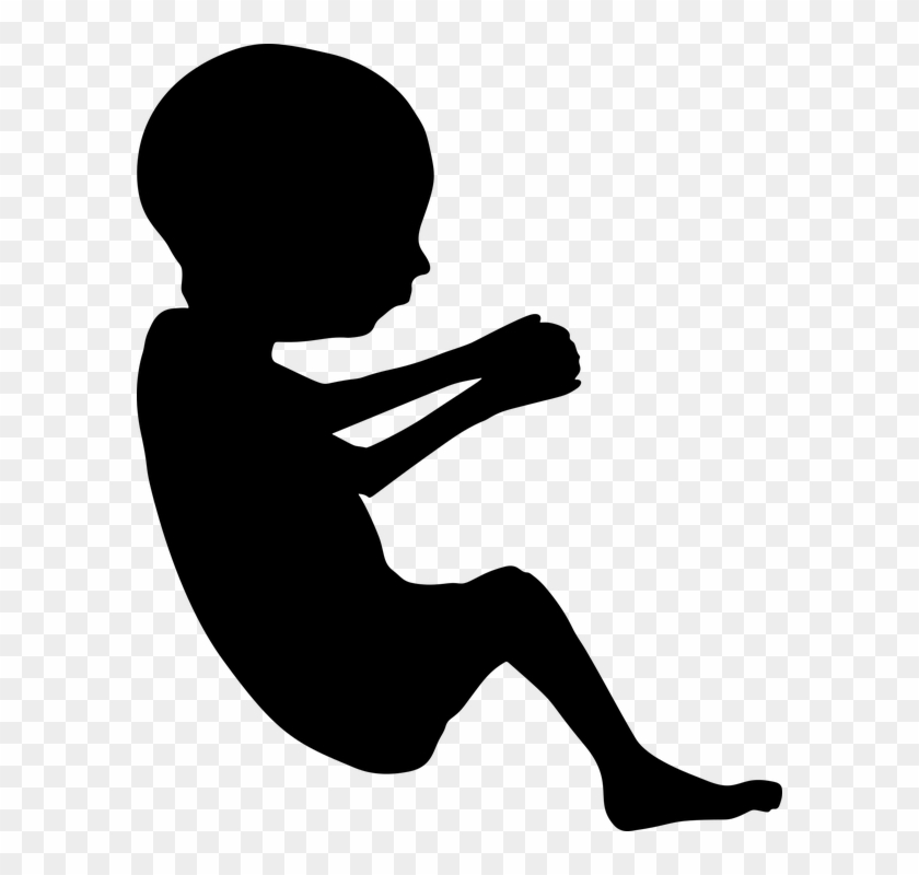Fetus Baby Developing Mother Mom Womb Pregnant - Fetus Silhouette #86282