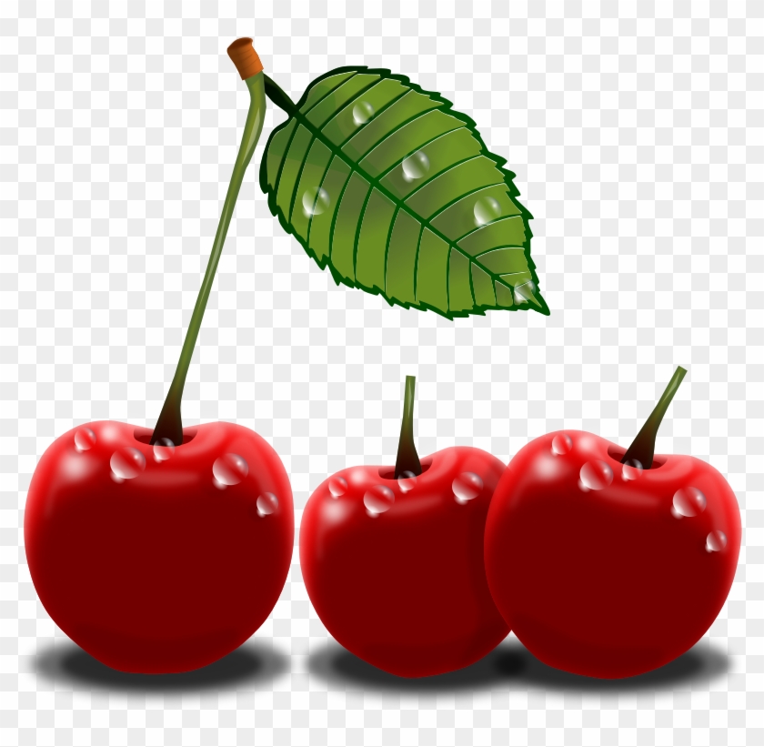 Realistic Cherries Clip Art - Cherry Png Clip Art #88244