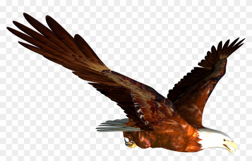 Very Attractive Design High Resolution Clipart Free - Flying Eagle Png #88263