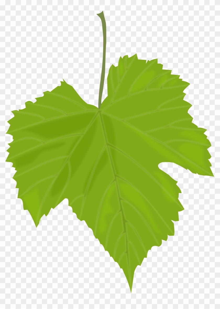 Fall Clipart Grape - Grape Leaves #88452