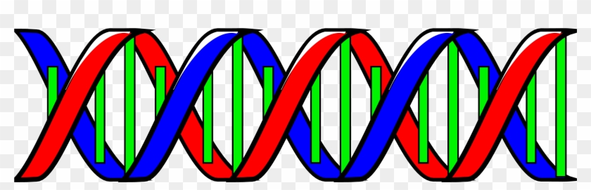 Double Helix - Dna Double Helix Clip Art #88868