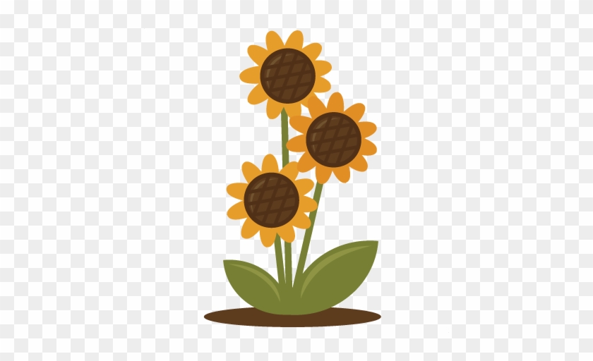 Download 37+ Sunflower Svg Free Download PNG Free SVG files ...