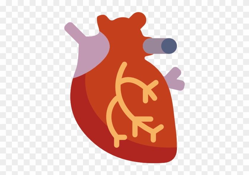 Cardiovascular Health - Cause Les Maladie Cardio Vasculaire #89907