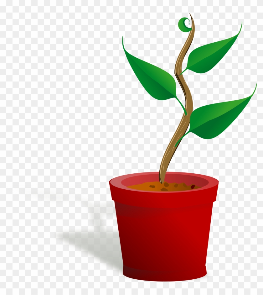 Big Image - Plant Clip Art #89960