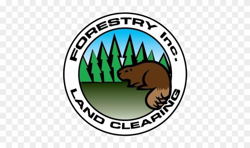 Forestry Inc - Forestry Inc. #90217