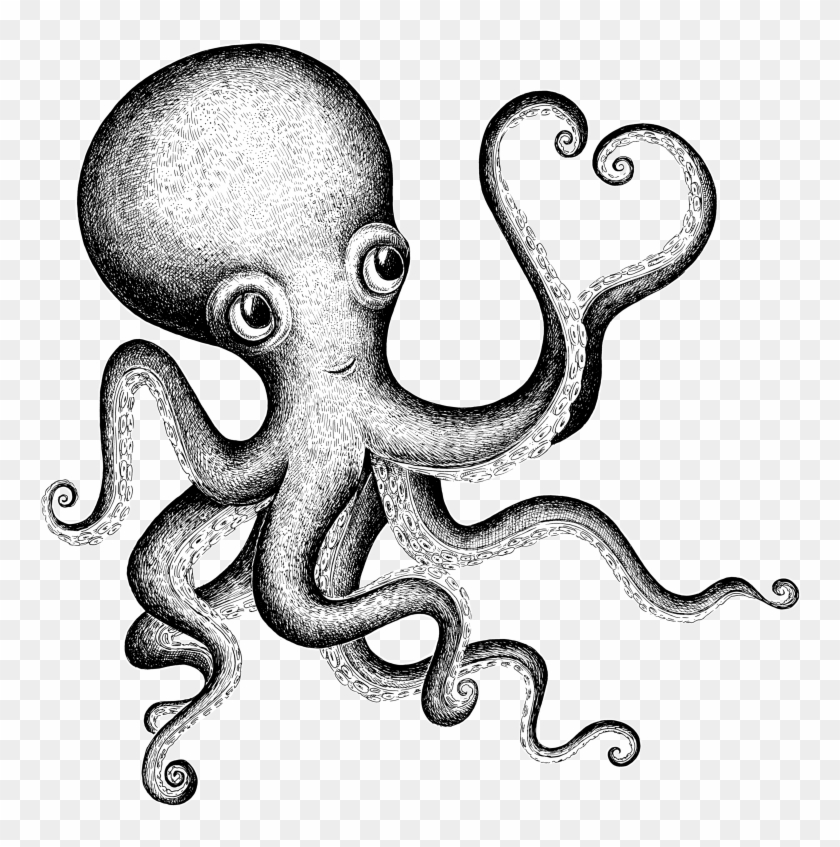 Octopus Valentine's Day Drawing Clip Art - Octopus Valentine's Day Drawing Clip Art #90307