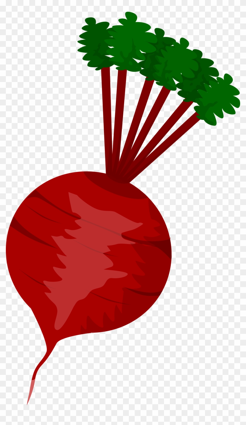 Beet Clipart Free Download Clip Art Free Clip Art On - Beet Clipart #91161