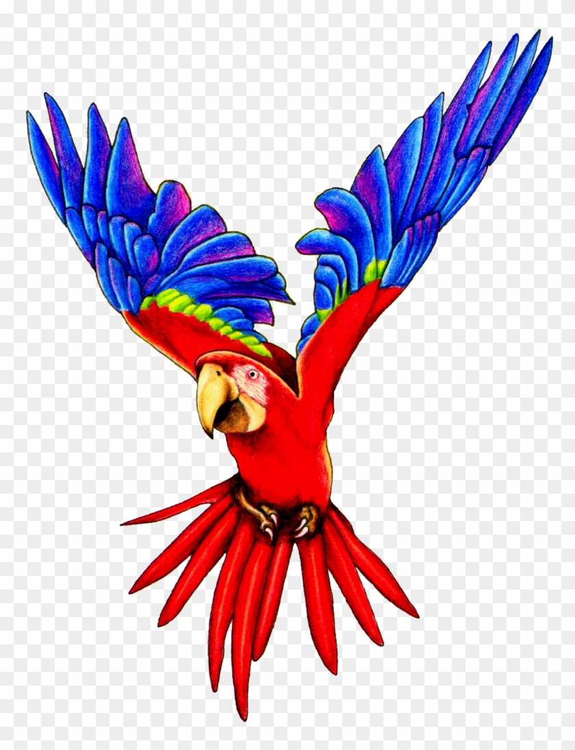 Macaw Clip Art - Flying Parrot Png #92086