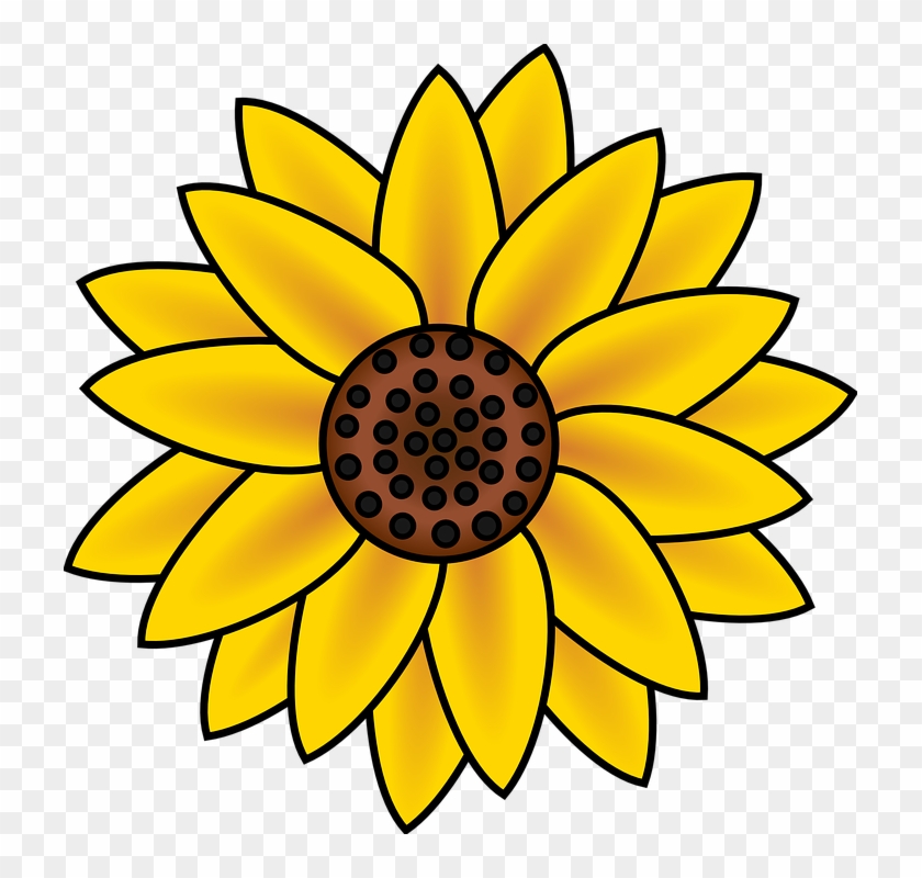 Fall Sunflower Cliparts Free Download Clip Art Flower - Sunflower Clipart Transparent Background #92298