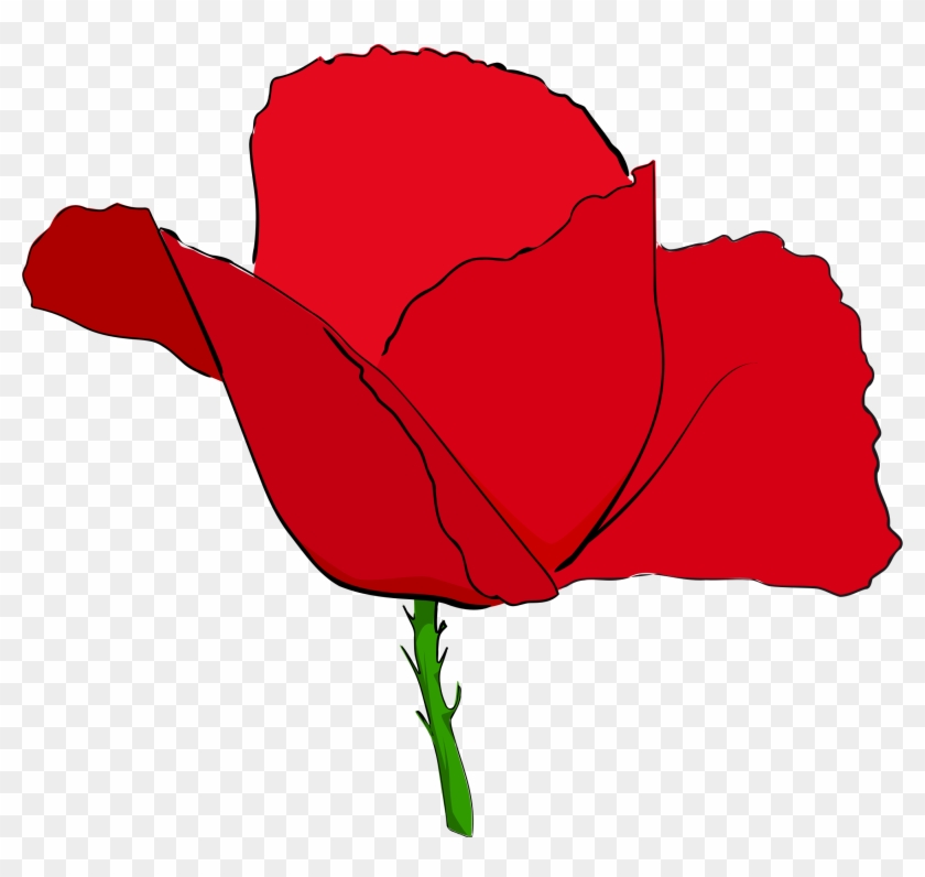 Download - Red Image Of Poppy Flower #94037