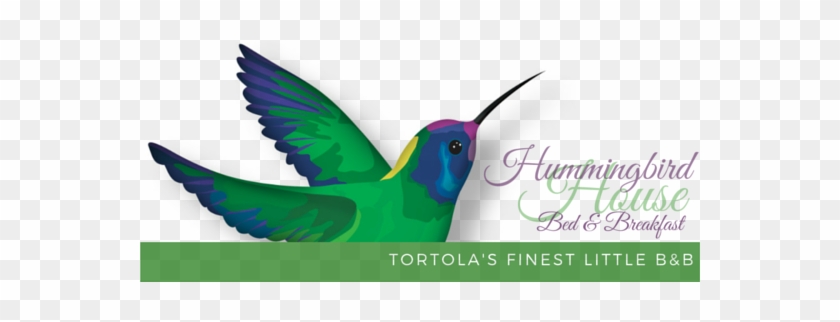 Hummingbird House Logo - Hummingbird Tattoos #501233
