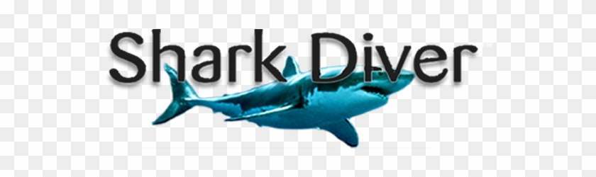 Sharkdiver Sharkdiver Sharkdiver Sharkdiver - Shark #501250