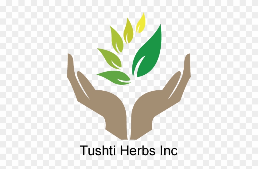 Herbal Logo #501291