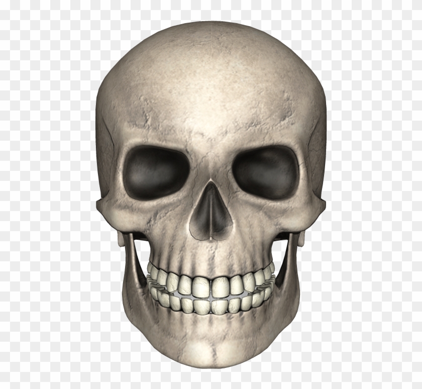 Skull Bone Skeleton Clip Art - Skull Bone Skeleton Clip Art #501453