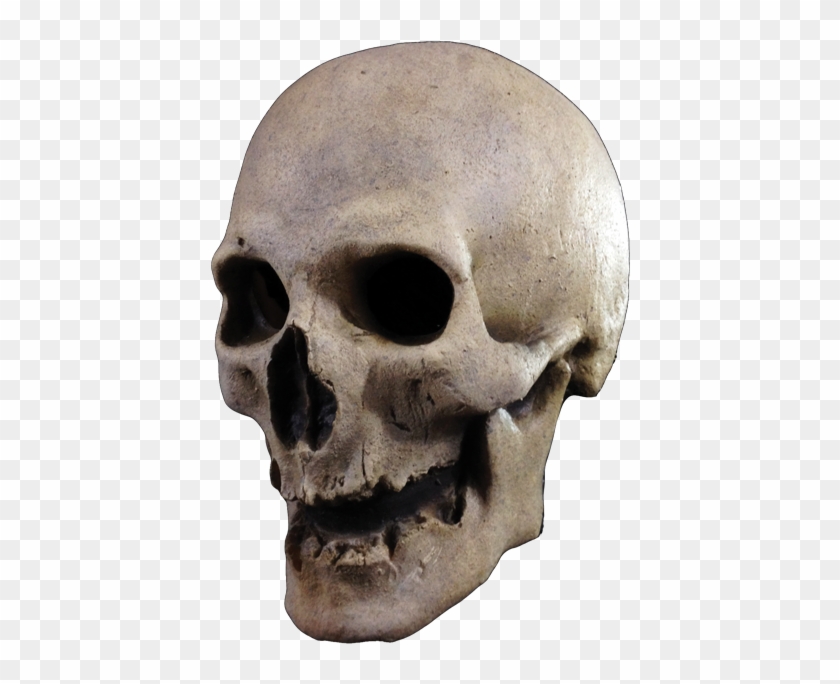 Skull - Trick Or Treat Studios Antique Skull #501460
