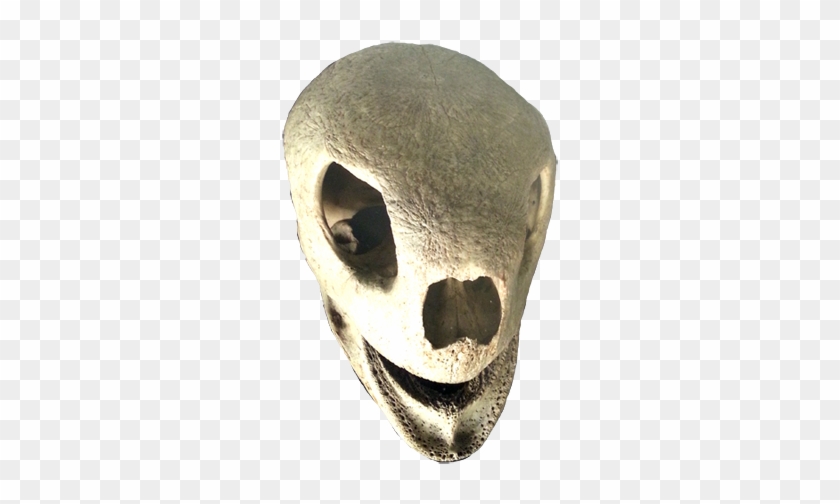 Open Shar Jaws - Cool Animal Skull #501506