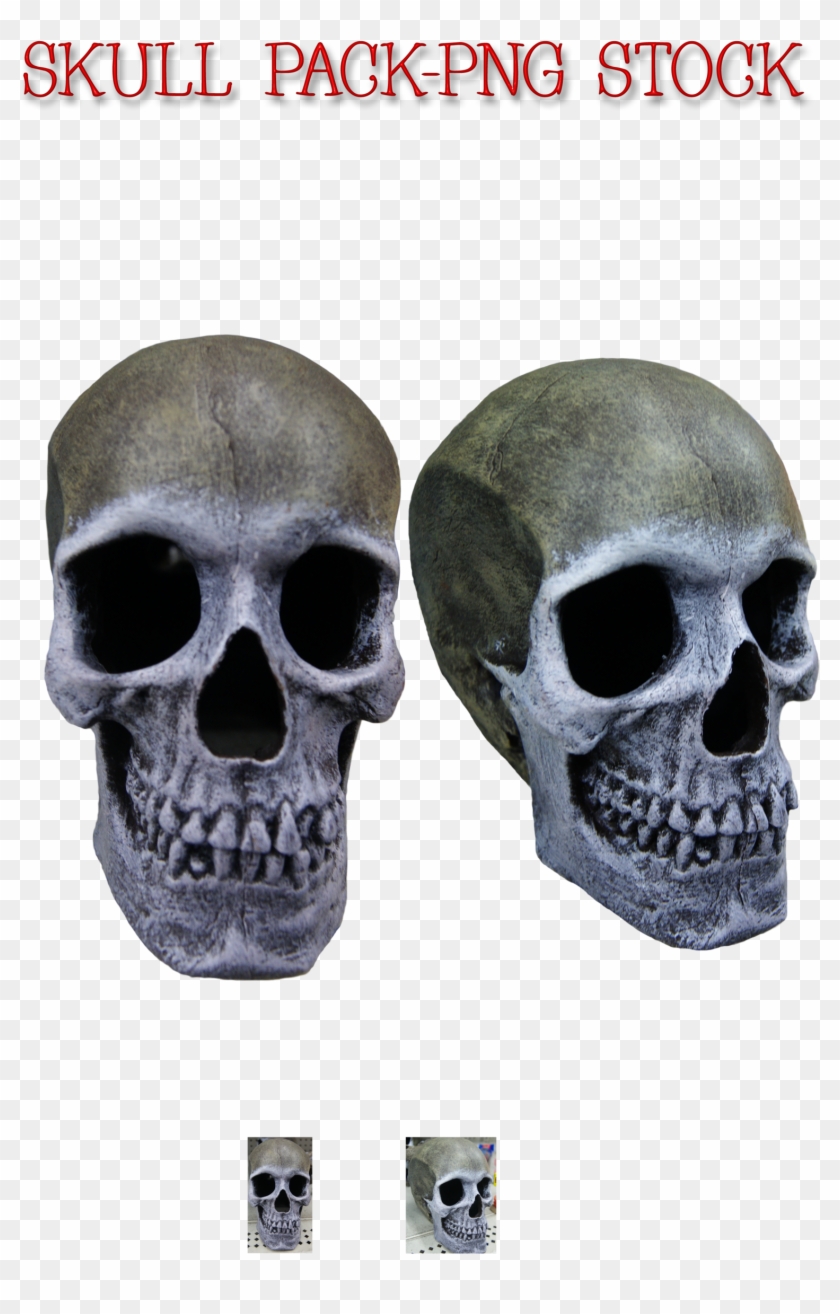 Skull Pack Png Stock By Karahrobinson Art - Art #501519