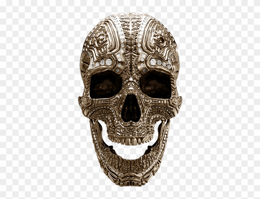 Zombie Studio - Skull #501529
