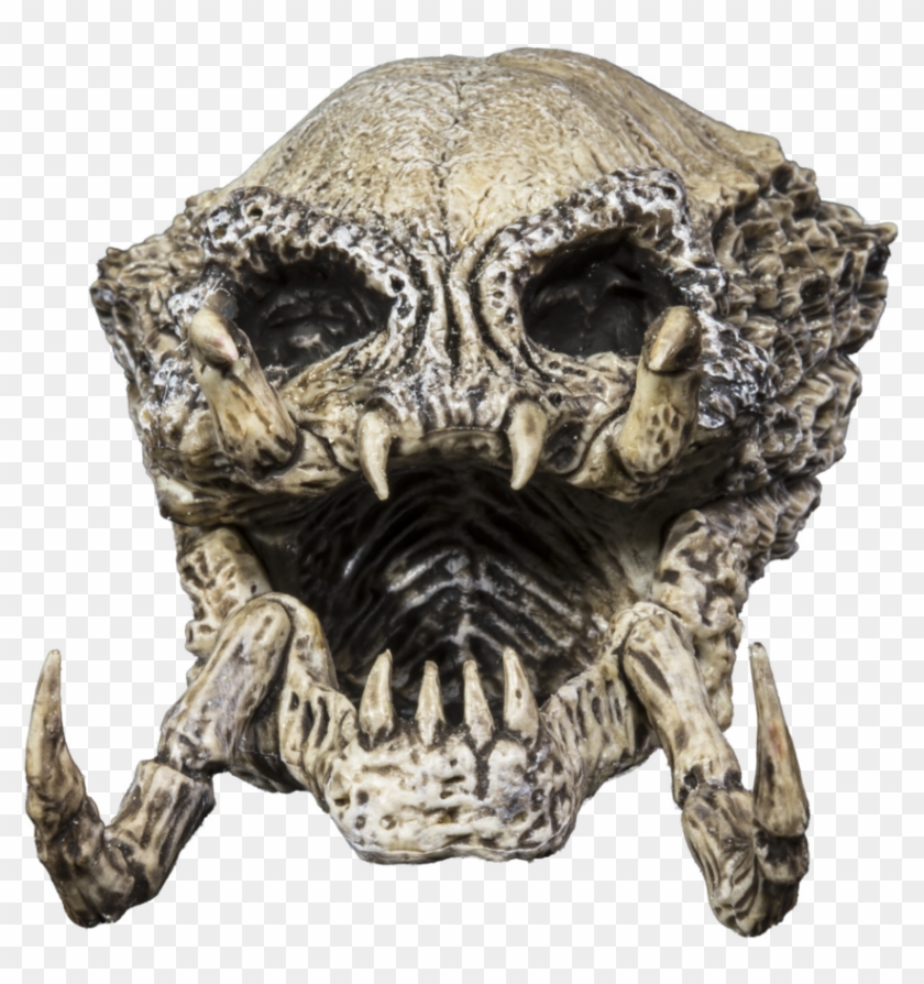 Alien Skull By Juansixx1961 - Skull #501576