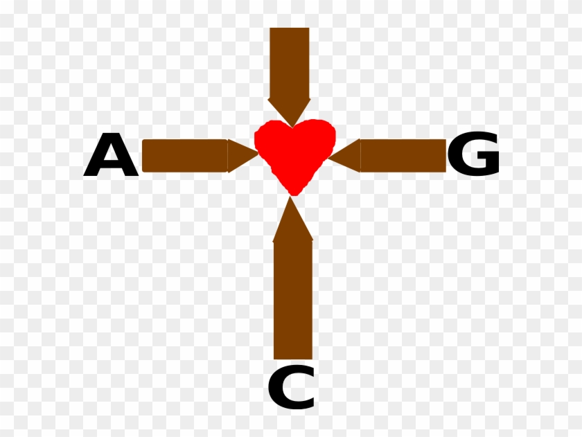 Grace 600*551 Transprent Png Free Download - Clip Art #502055