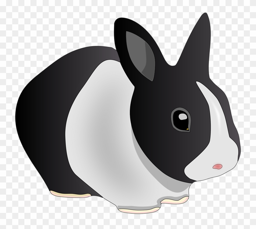 Bunny Clipart Black And White Chadholtz - Bunny Clipart No Background #502116