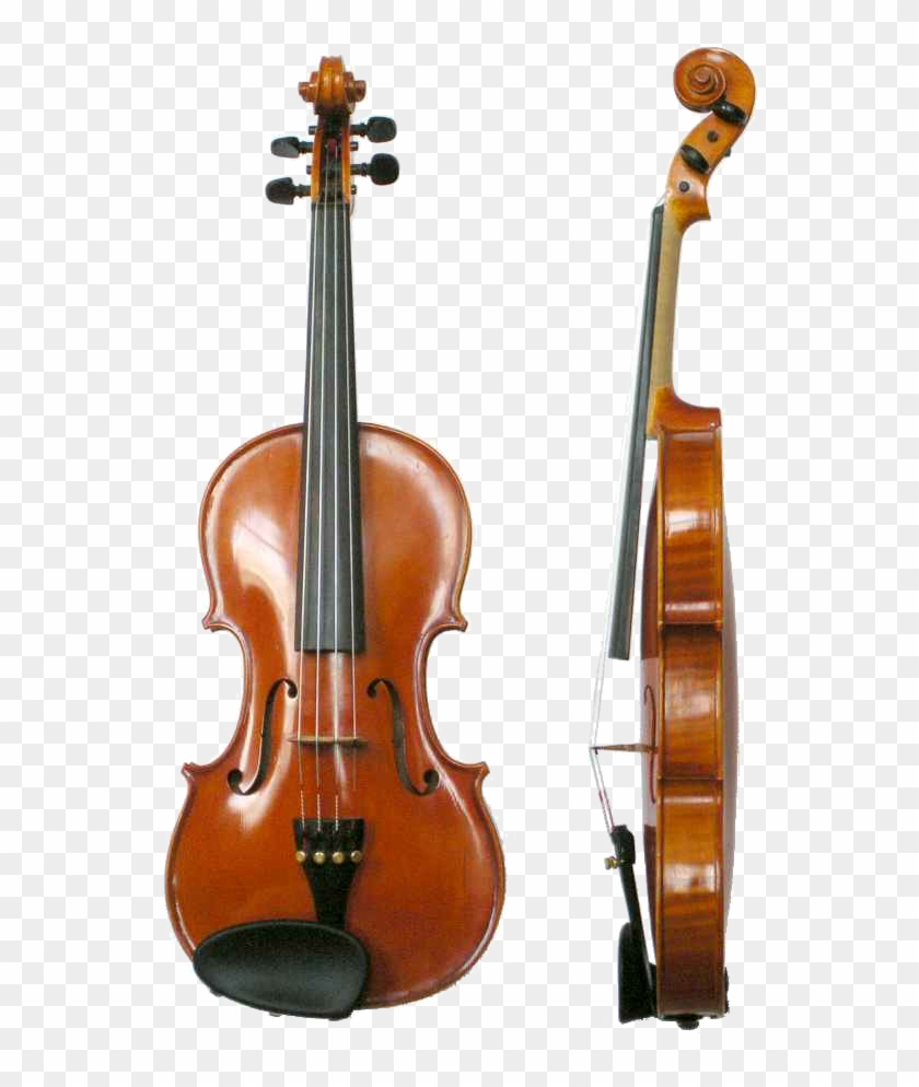Violin Wikipedia Rh En Wikipedia Org Violin Anatomy - Facts About The Violin #502215