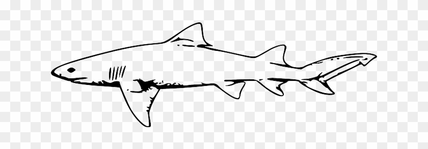 Outline, White, Danger, Fish, Book, Lemon, Line - Hammerhead Shark Fork Length #502280