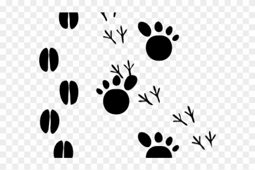 Animal Tracks Clipart - Animal Footprints #502934