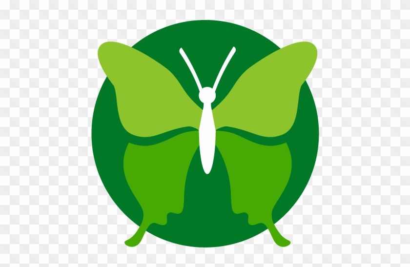 Butterfly Dating Coach Coaching Life Coach Clip Art - Butterfly Dating Coach Coaching Life Coach Clip Art #503020
