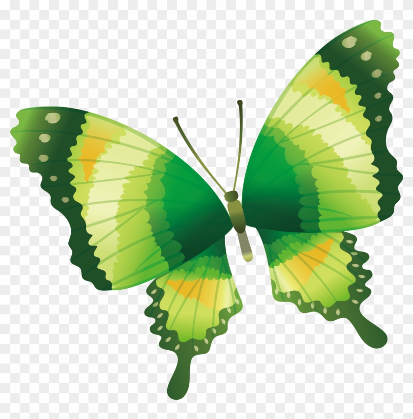 Butterfly Drawing Clip Art - Patangiyani Paankhe #503087