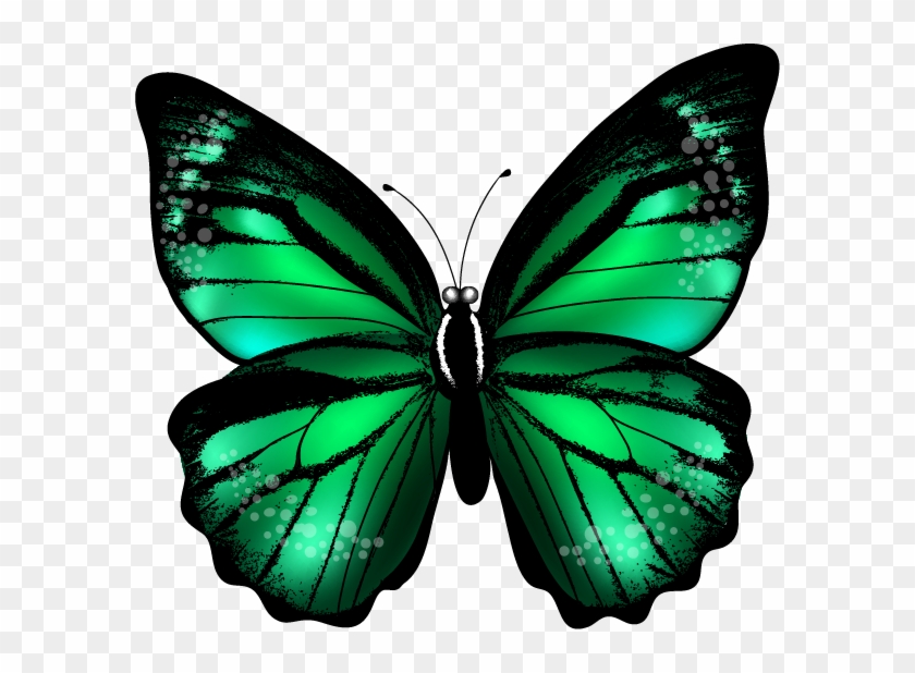 Faça A Minha Vida Ter Mais Cor E Borboletas Em Mim*✿ - Green Butterfly Tattoo Png #503090