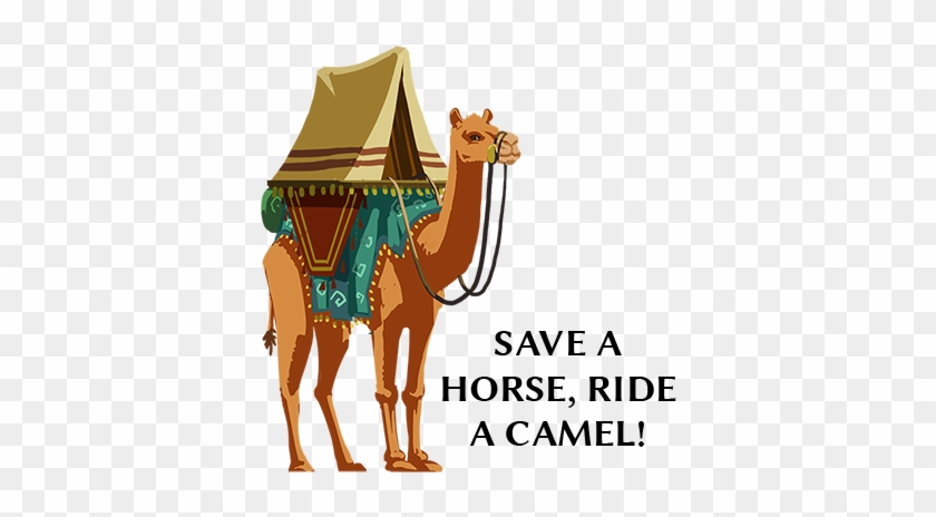 Silk Road Camel Stickers Messages Sticker-11 - Sticker #503649