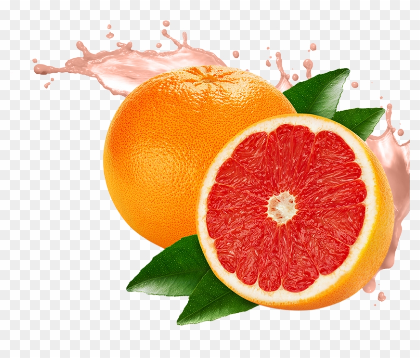 Grapefruit Clipart Bitter Food - Grapefruit Png #503998