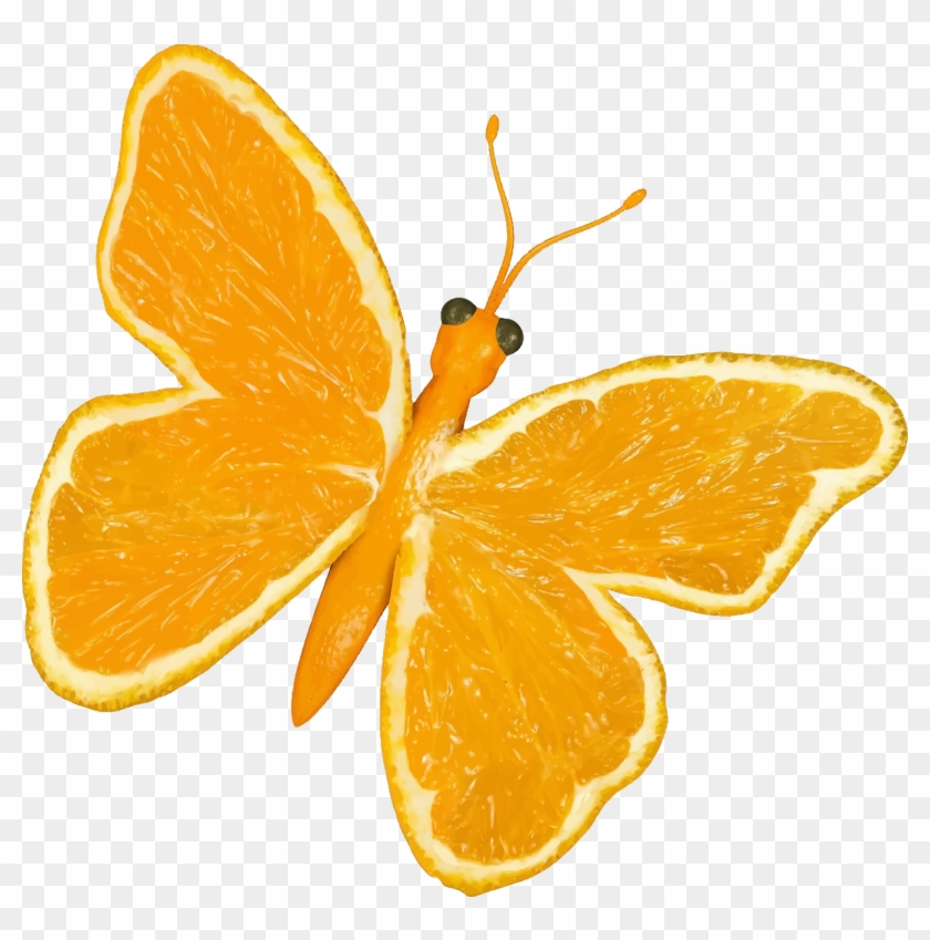 Big Image - Butterfly Oranges #504031