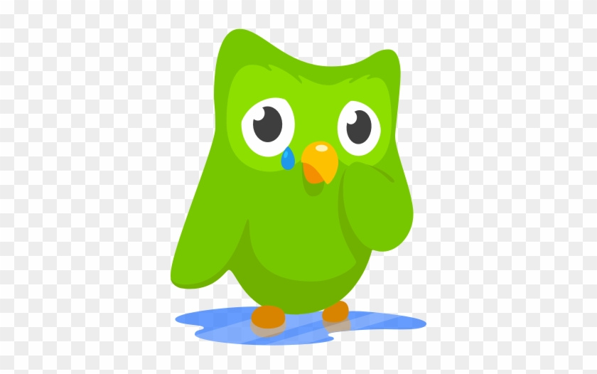 Duolingo Crying Owl #504039