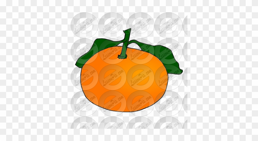 Tangerine Picture - Illustration #504050