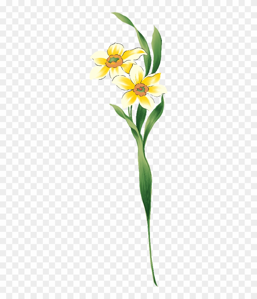 Flores Ilustraciones En Png Para Artesanía Y Diseños - Illustration #504126