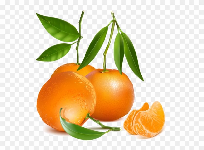 Fruits,tubes - Free Vector Clementine #504300