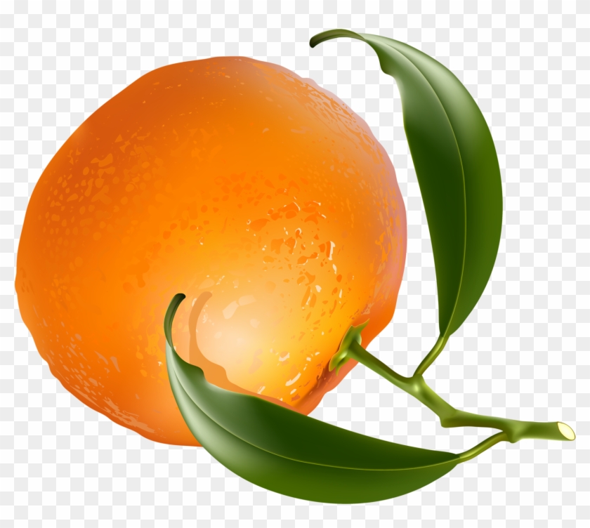 Vegetablesclip Artfruit - Tangerine #504316