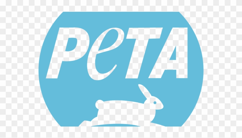 Peta Criticizes Northeastern's Use Of Glue Rat Traps - People For The Ethical Treatment Of Animals #504425