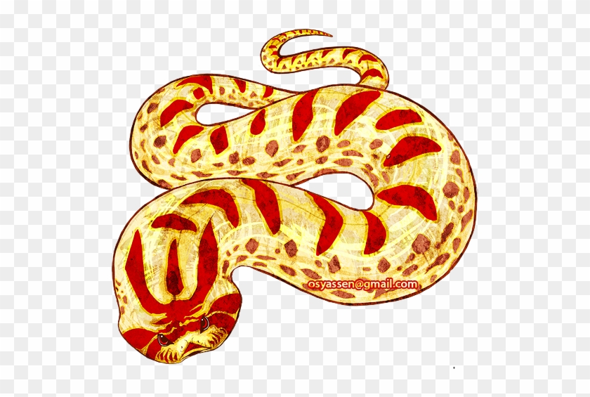 Western Hognose Albino Anaconda By Osy-design - Hognose Snake #504862