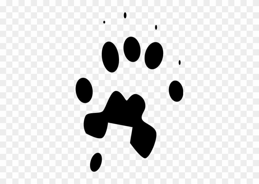 Front Track - Front Track #504898