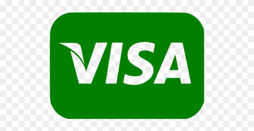 Visa Gray Logo #505367