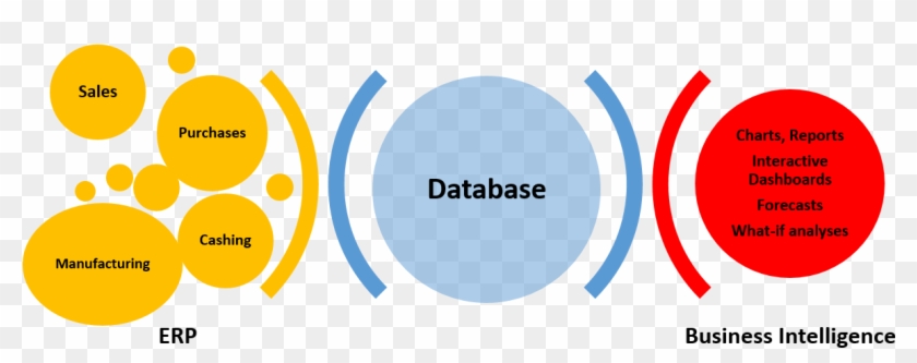 Business Intelligence Helps You Discover The Added - Erp Vs Bi #505489