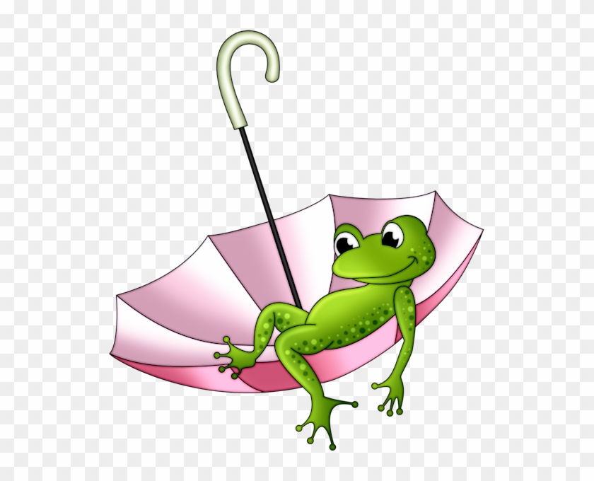 Dcd Prch Happy Frog - Grenouilles Rigolotes #505789