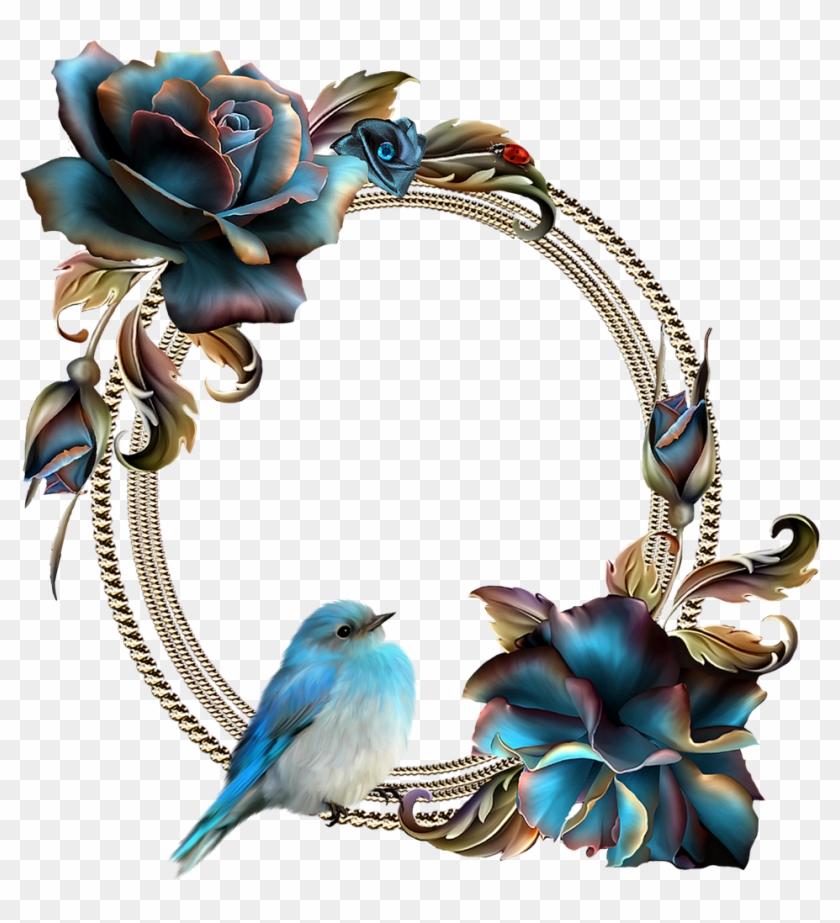 1495558139 Clusters Of Roses 1 19 - Mountain Bluebird #505836